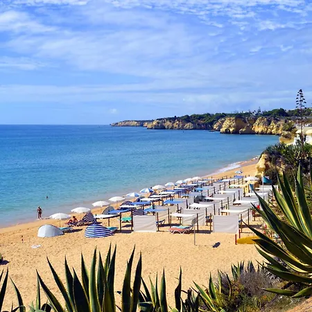 Homes Vibrant Ocean View Terraced With Swimming Pool 200 M To The Beaches